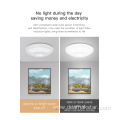 Smart LED Ceiling Mount Light Fixture Battery Powered